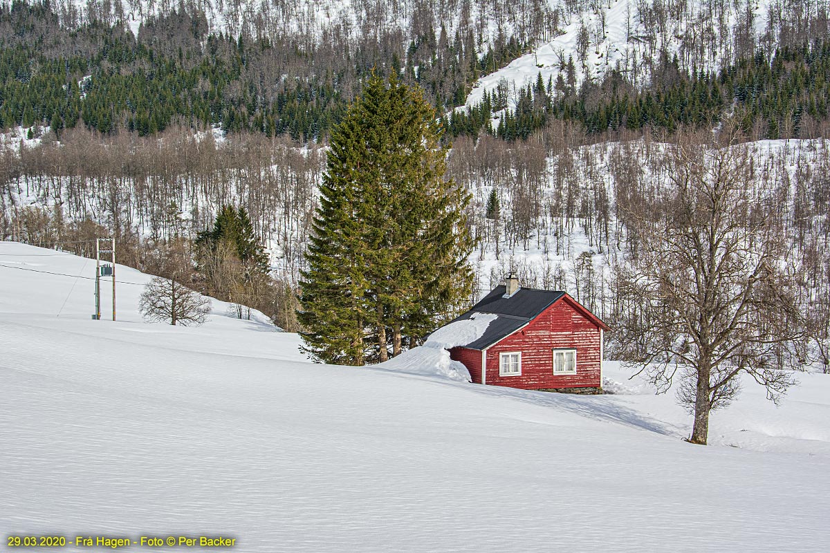 Frå Hagen