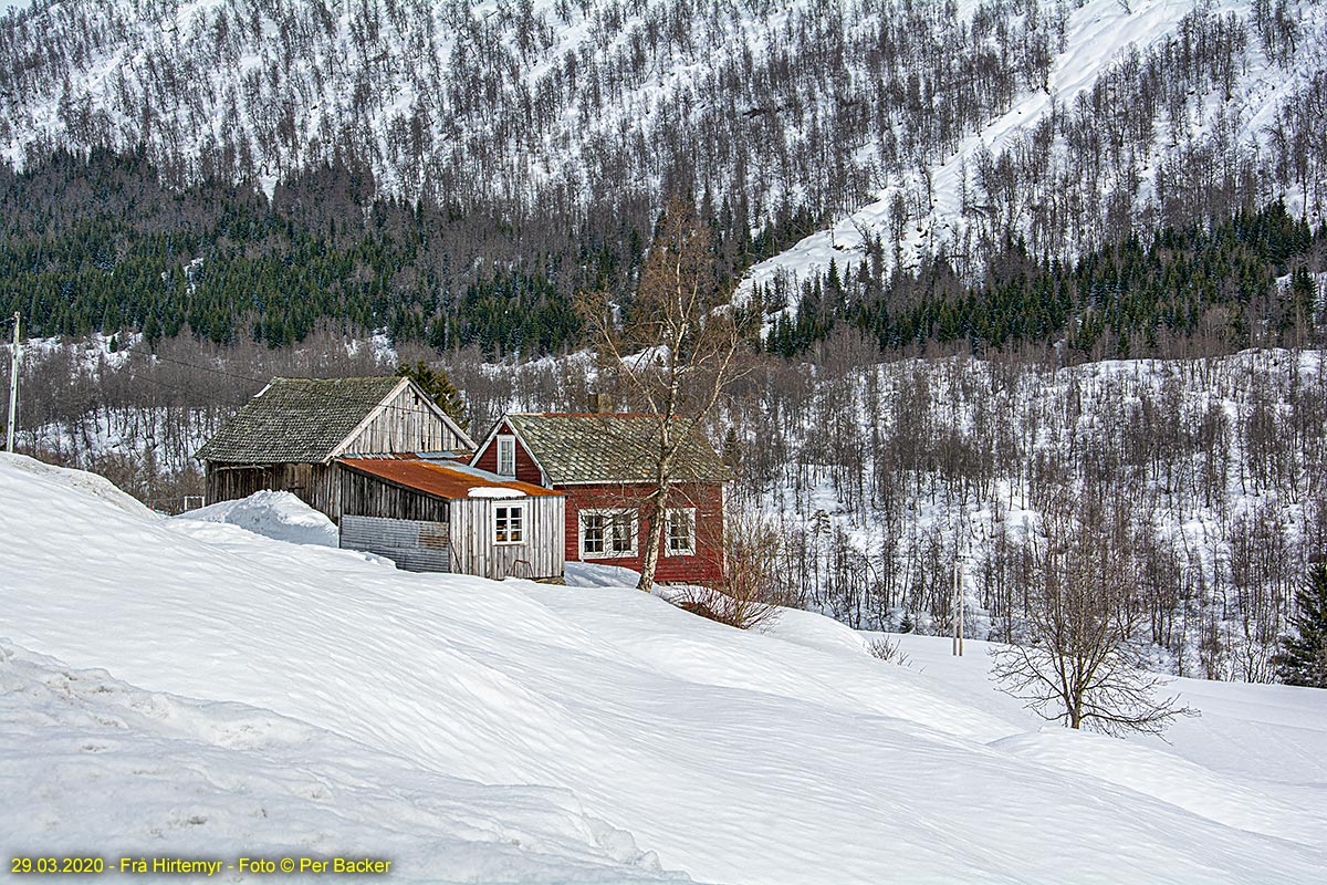 Frå Hirtemyr