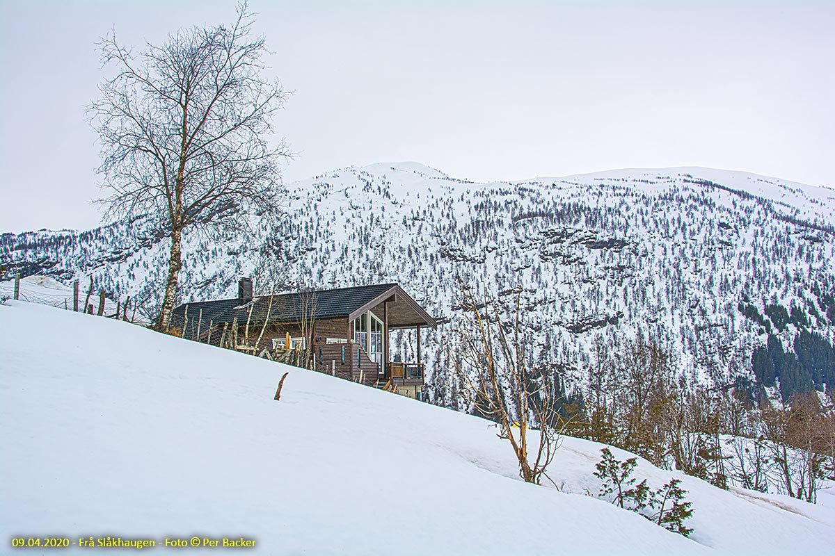 Frå Slåkhaugen