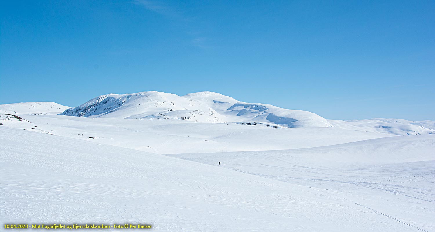 Fulgafjellet og Bjørndalskamben