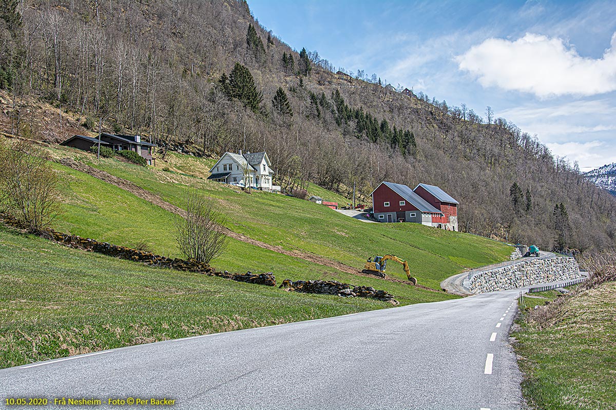 Frå Nesheim