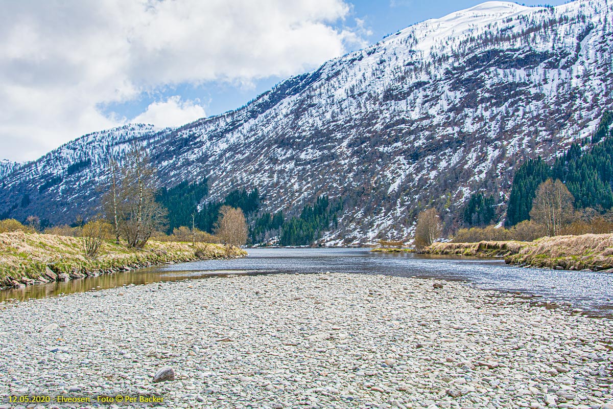 Elveosen i Myrkdalselva