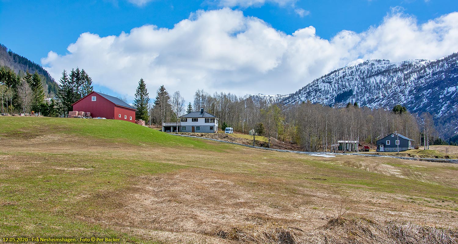 Frå Nesheimshagen