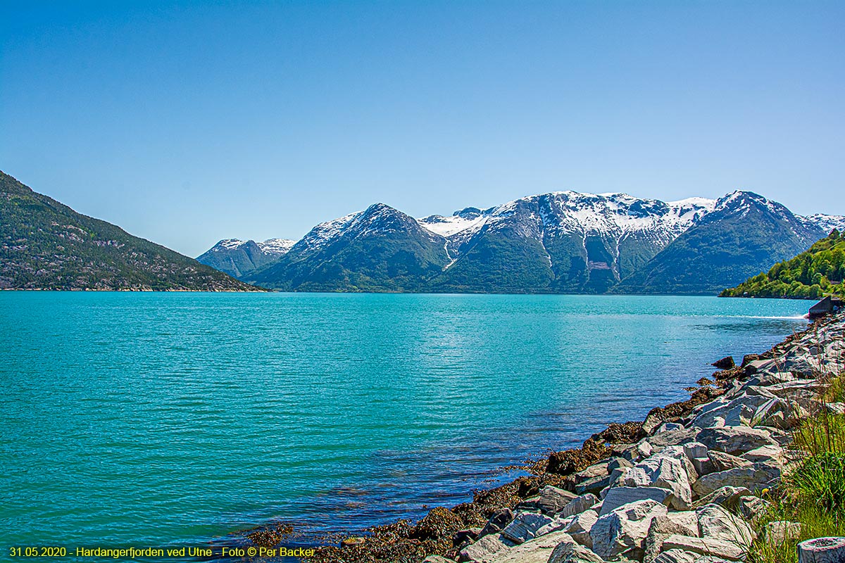 Hardangerfjorden ved Utne