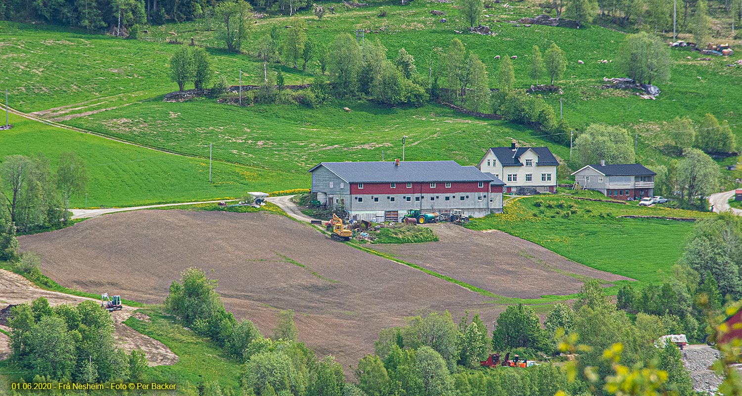 Frå Nesheim