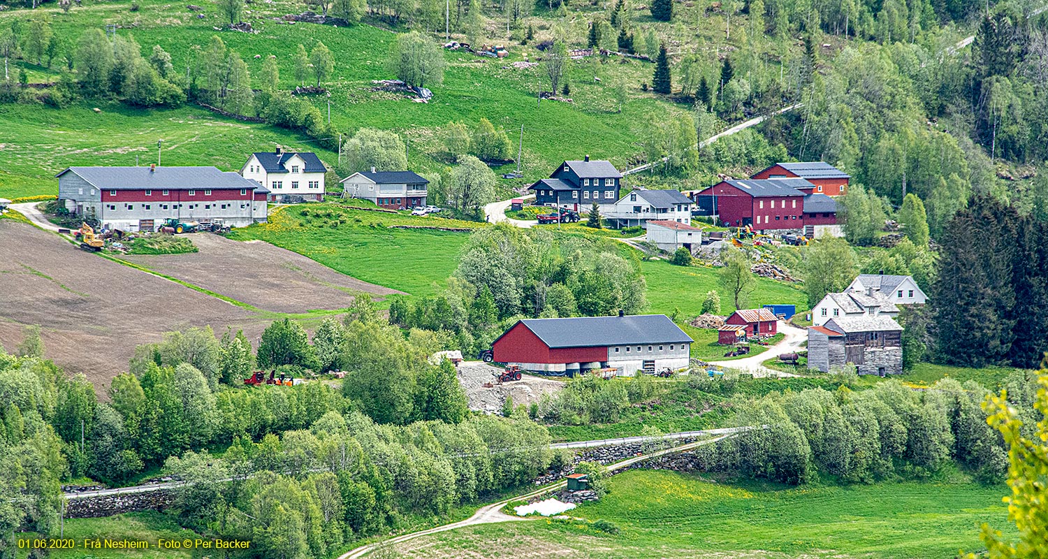 Frå Nesheim