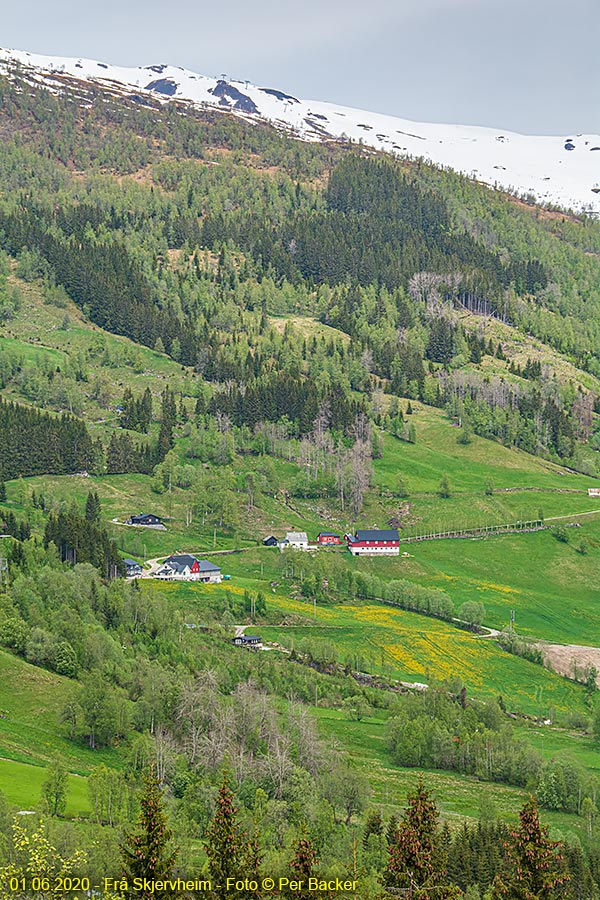 Frå Skjervheim