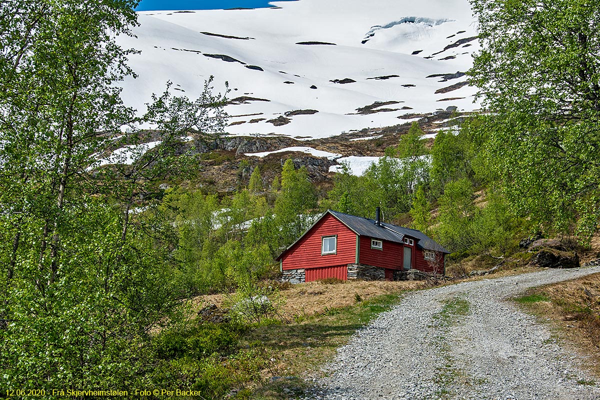 Frå Skjervheimstølen