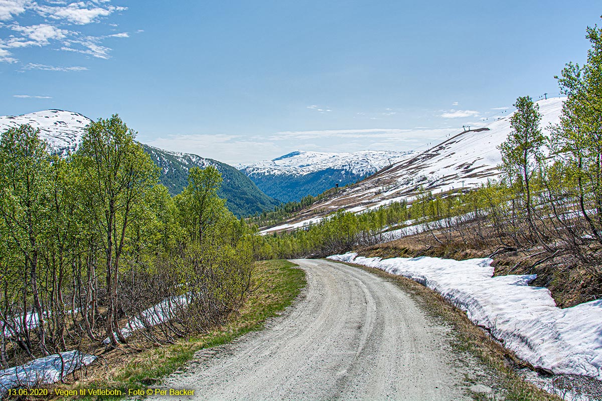 Frå vegen til Vetlebotn