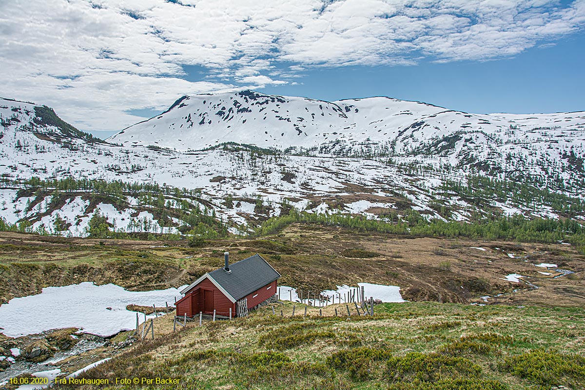 Frå Revhaugen