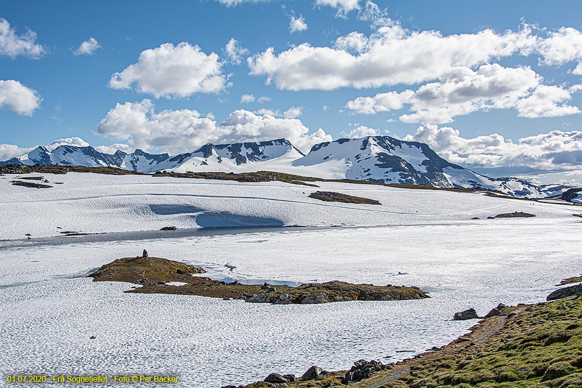 Frå Sognefjellet