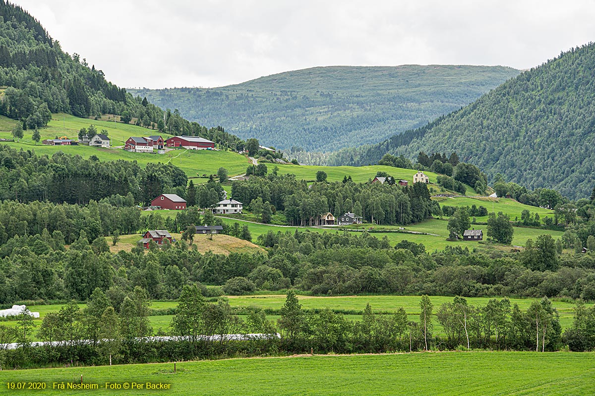 Frå Nesheim