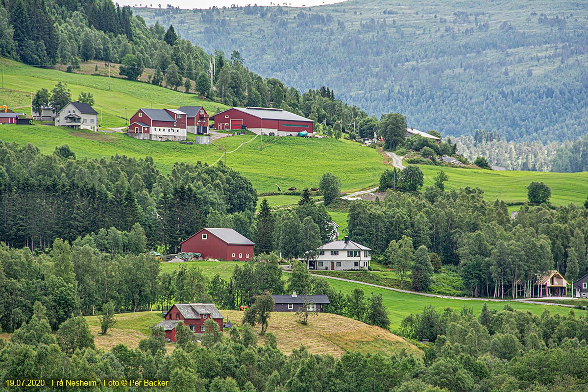 Frå Nesheim