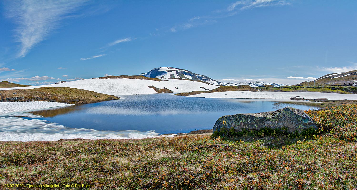 Tjødn på Vikafjellet