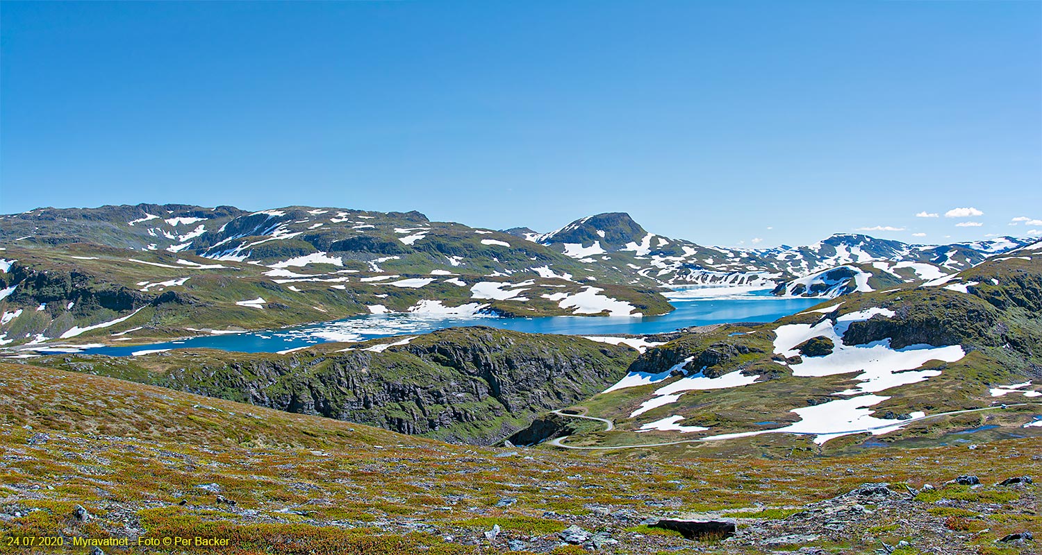 Muravatnet