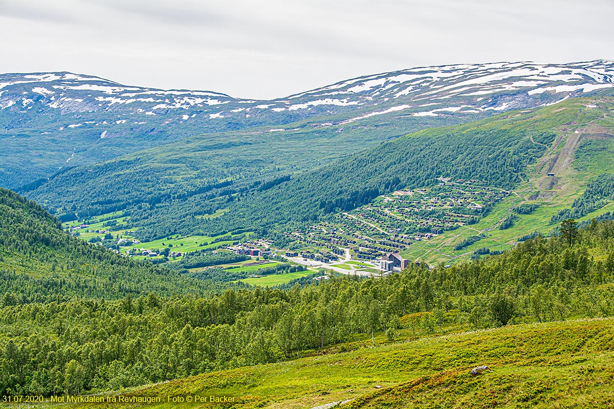 Mot Myrkdalen frå Revhaugen