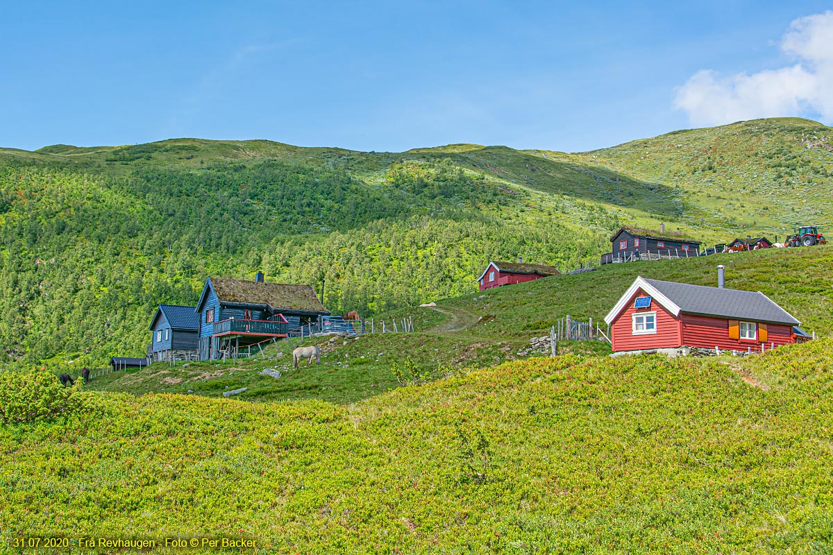 Frå Revhaugen