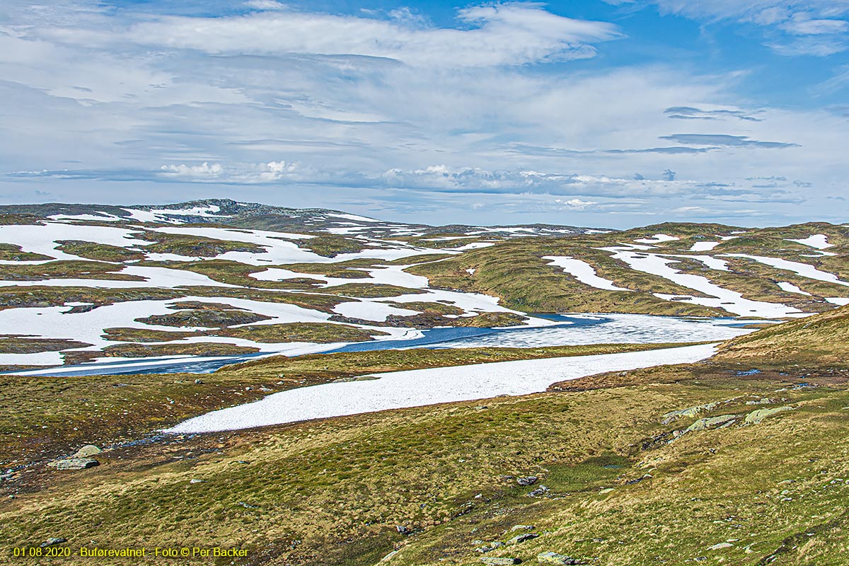 Buførevatnet