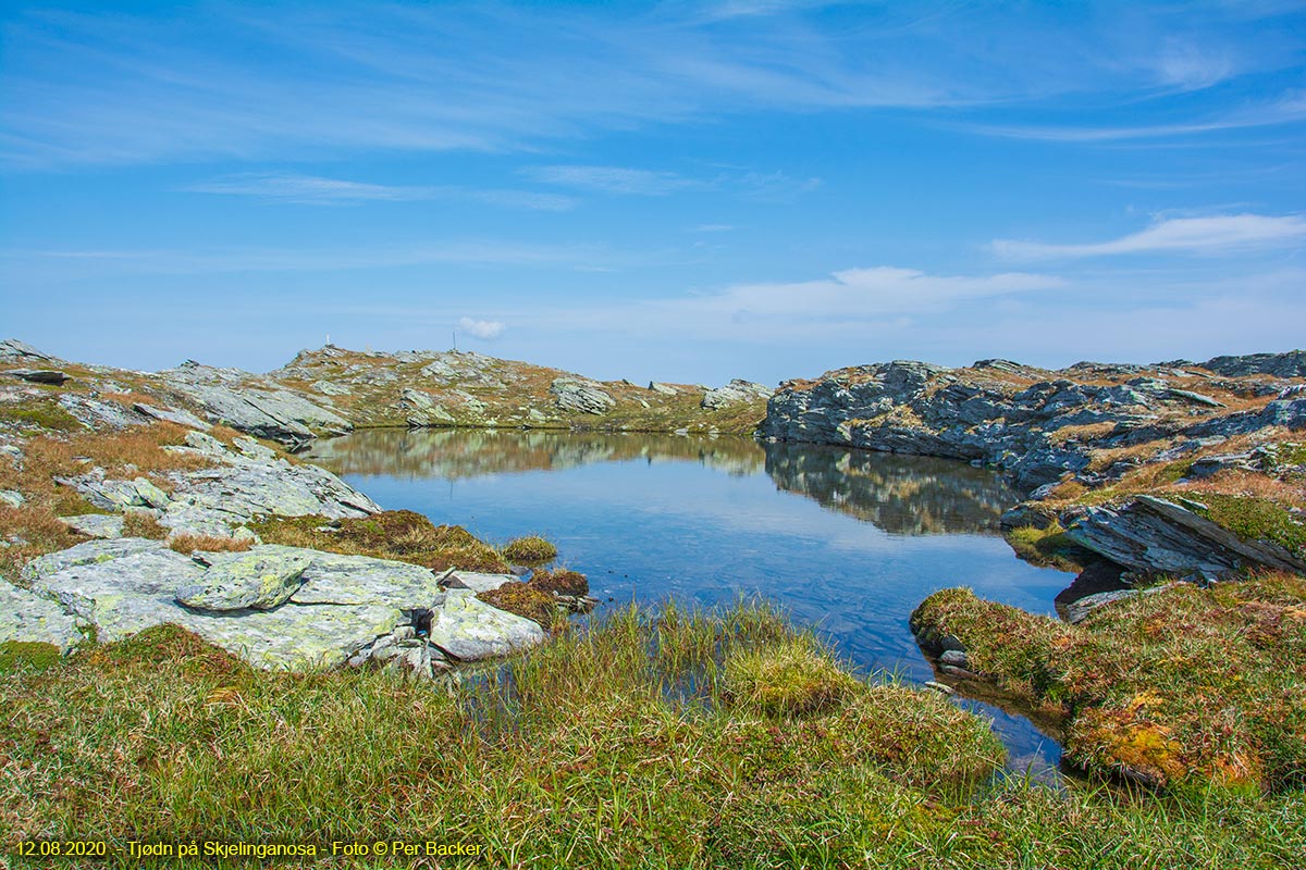 Tjødn på Skjelinganosa