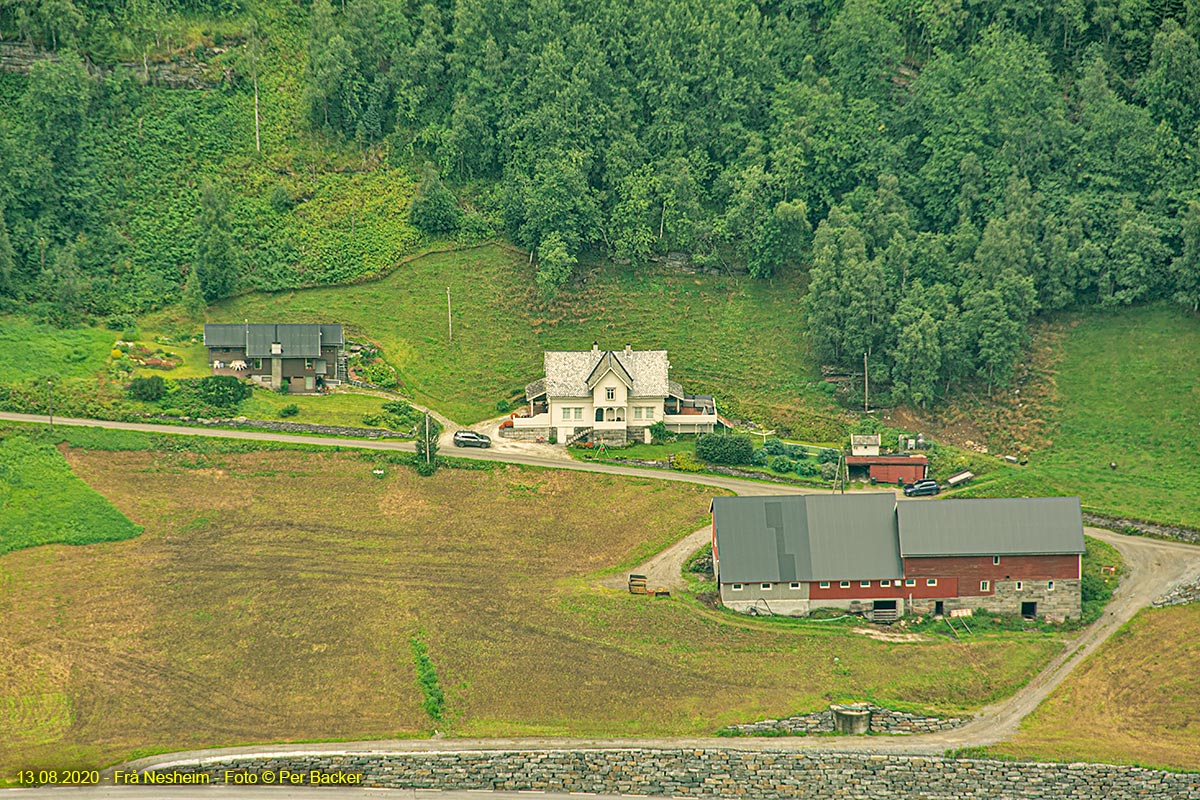Frå Nesheim