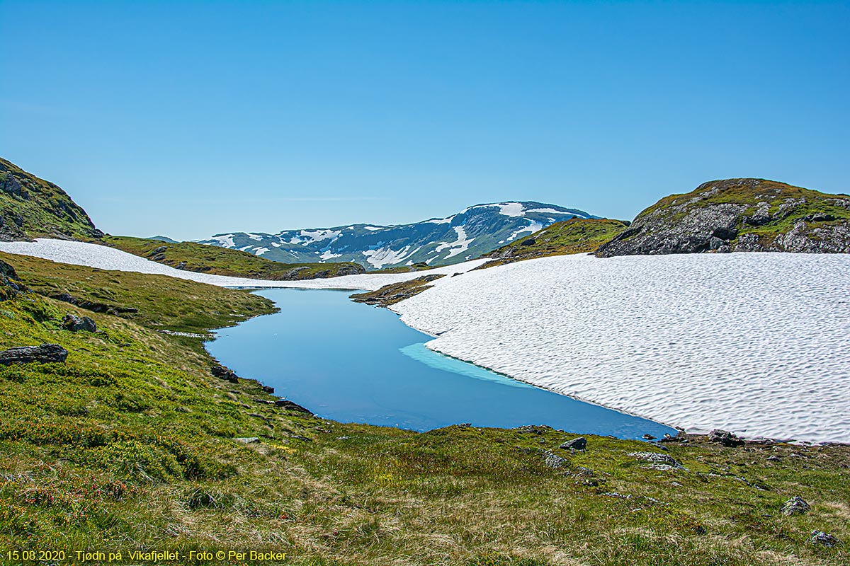 Tjødn på Vikafjellet