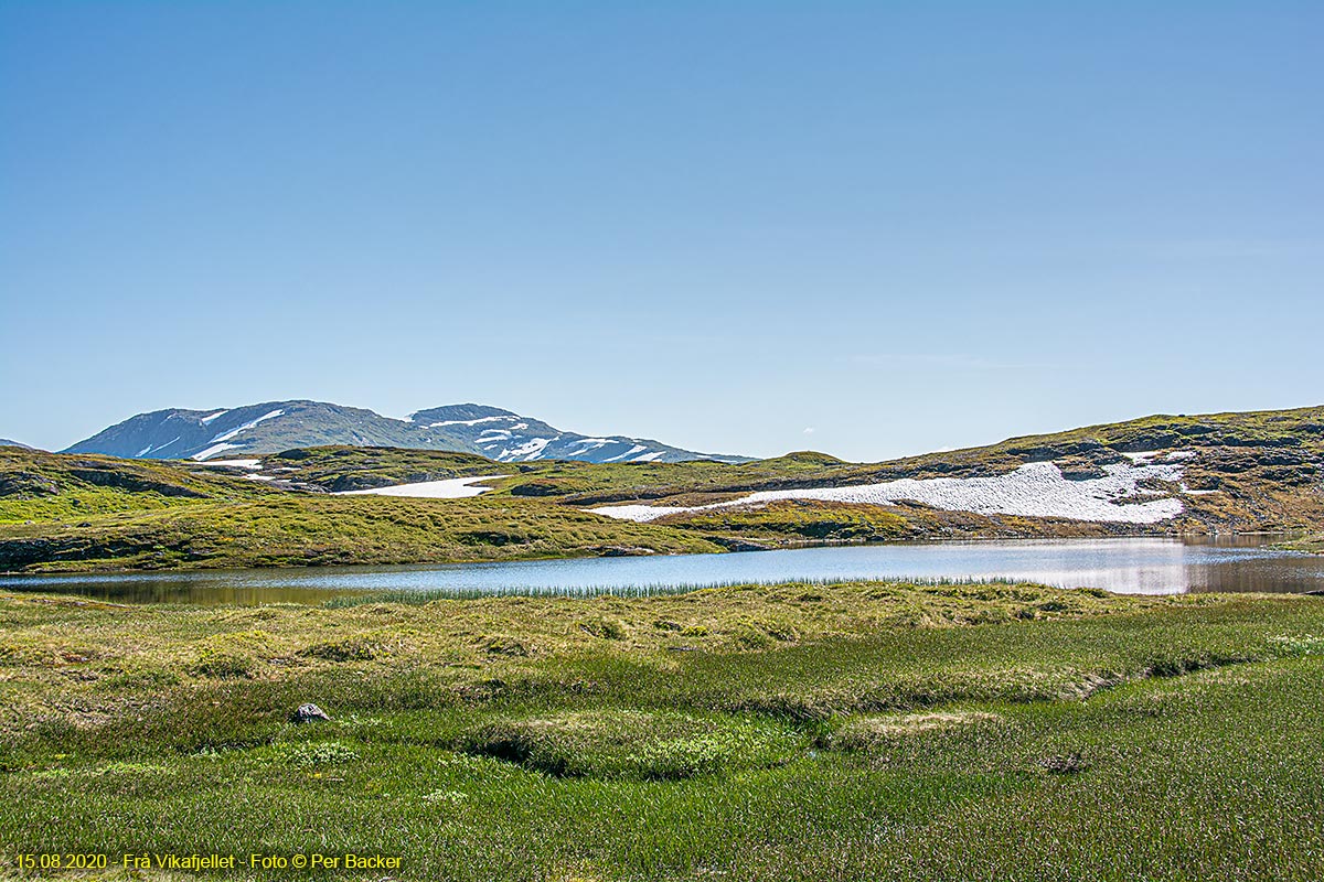 Frå Vikafjellet