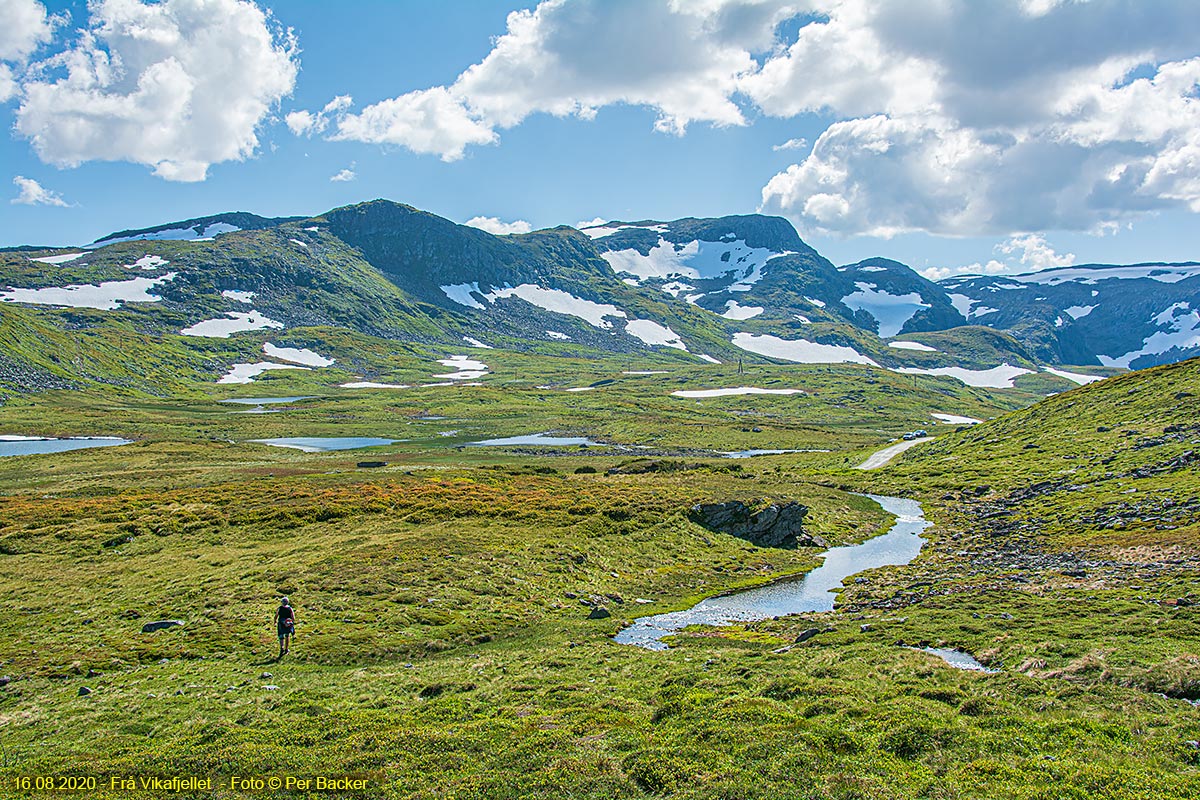 Frå Vikafjellet