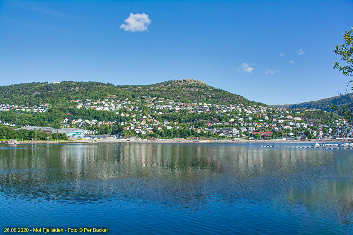 Fjellsiden