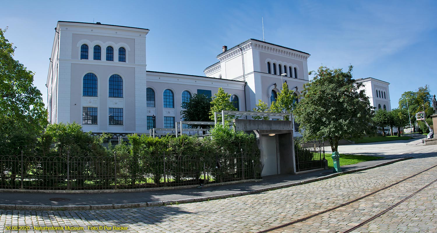 Naturhistorisk Museum