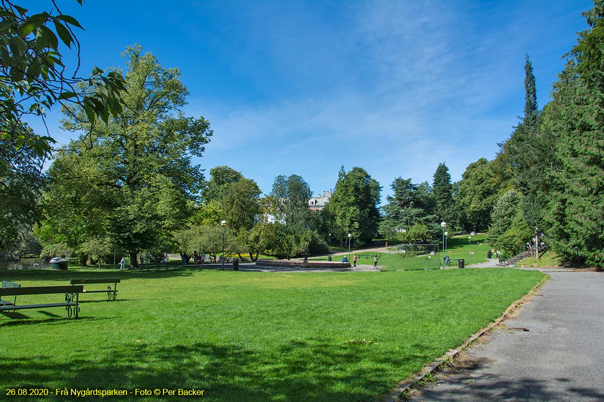 Frå Nygårdsparken