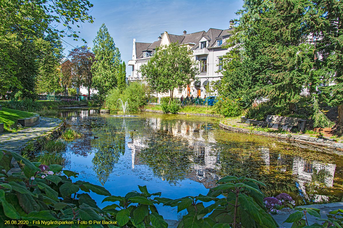 Frå Nygårdsparken