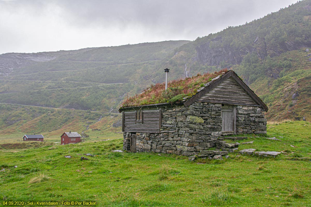 Sel i Kvassdalen