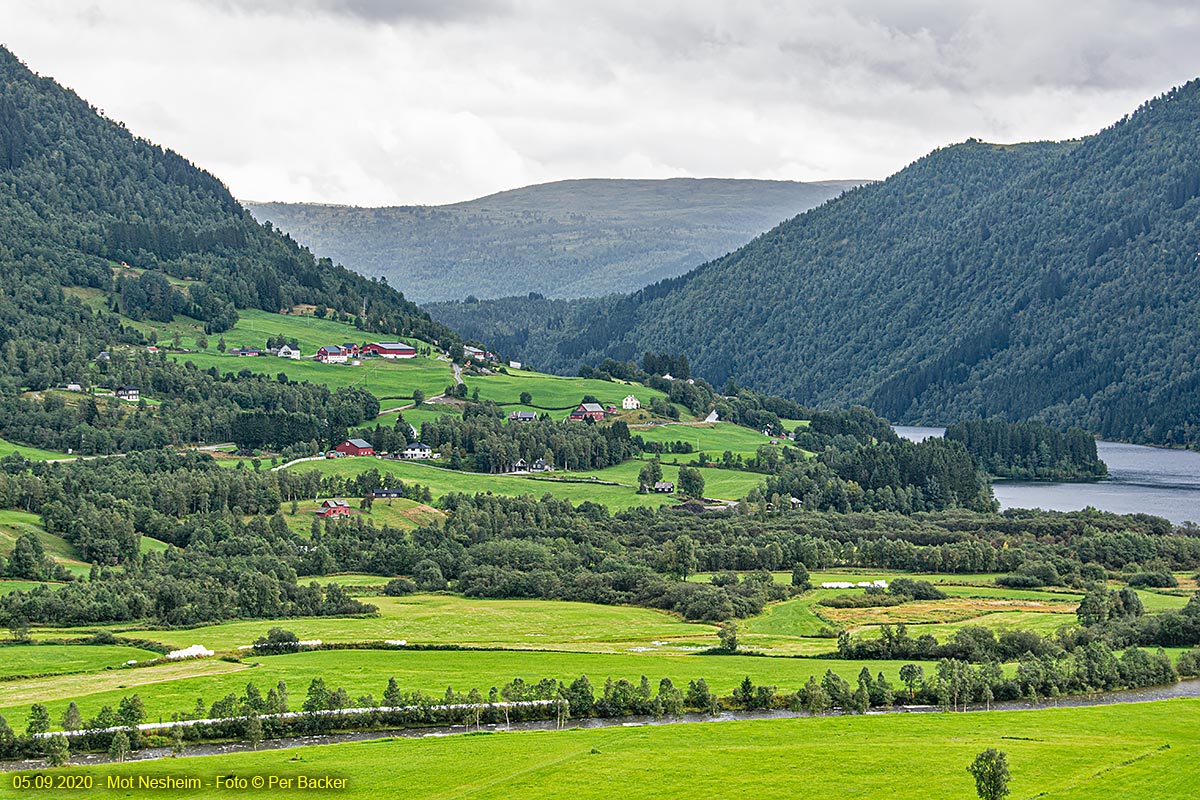 Frå Nesheim