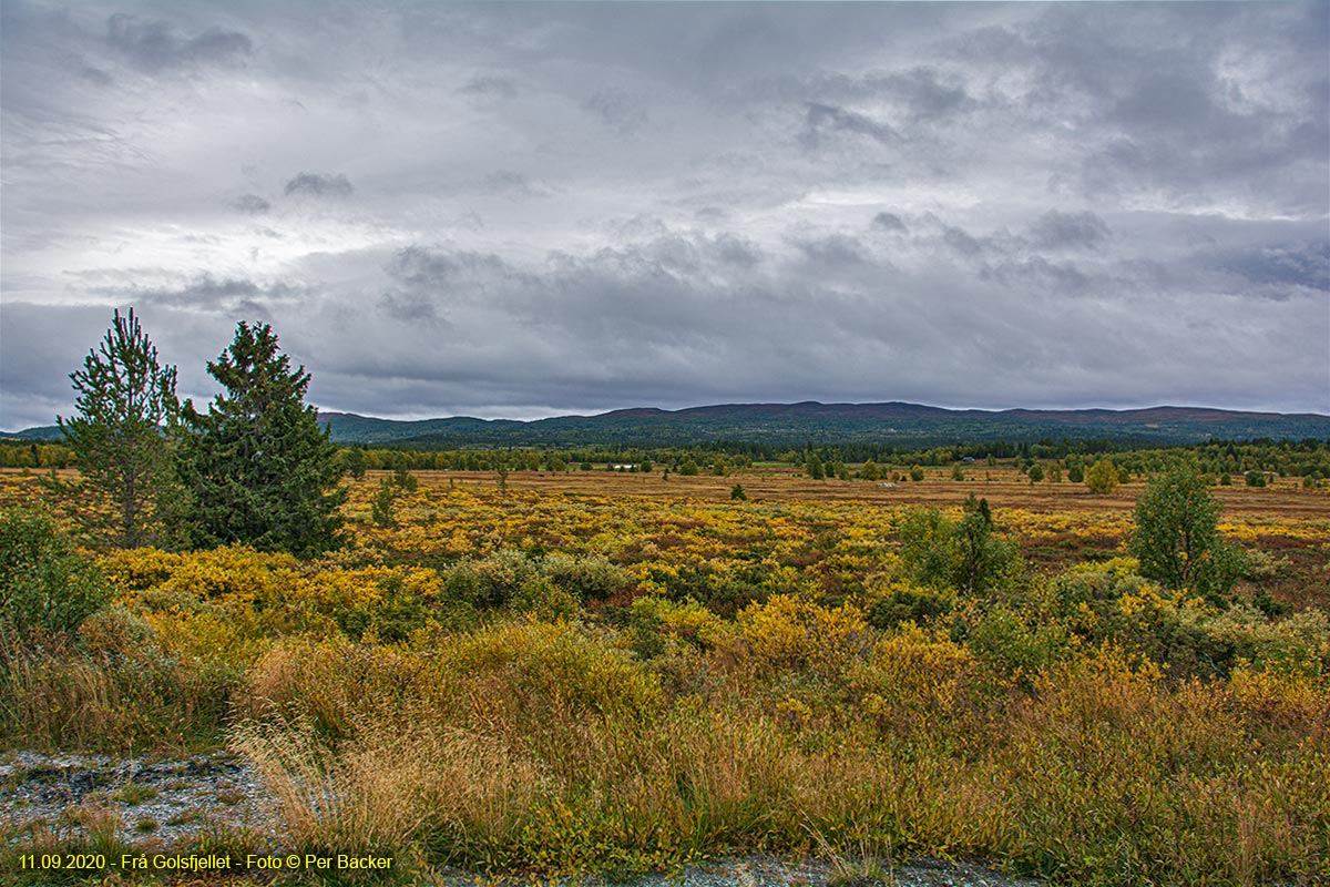 Frå Golsfjellet