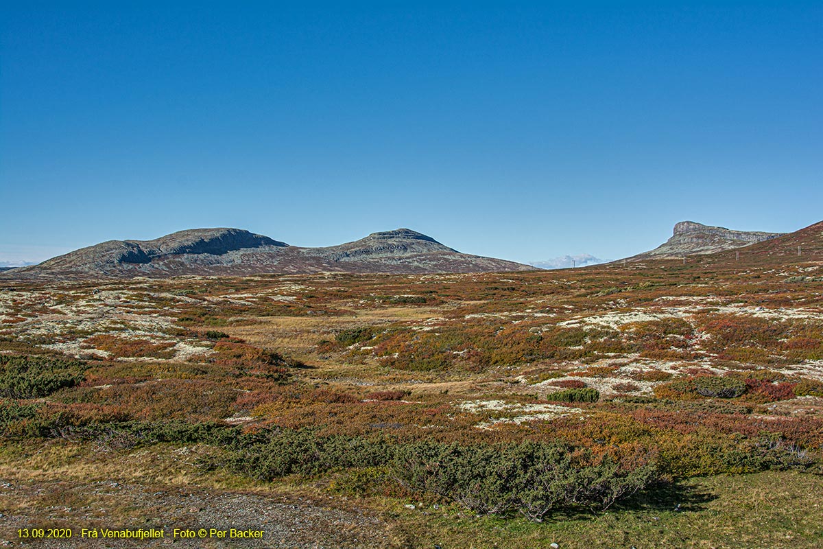 Frå Venabufjellet