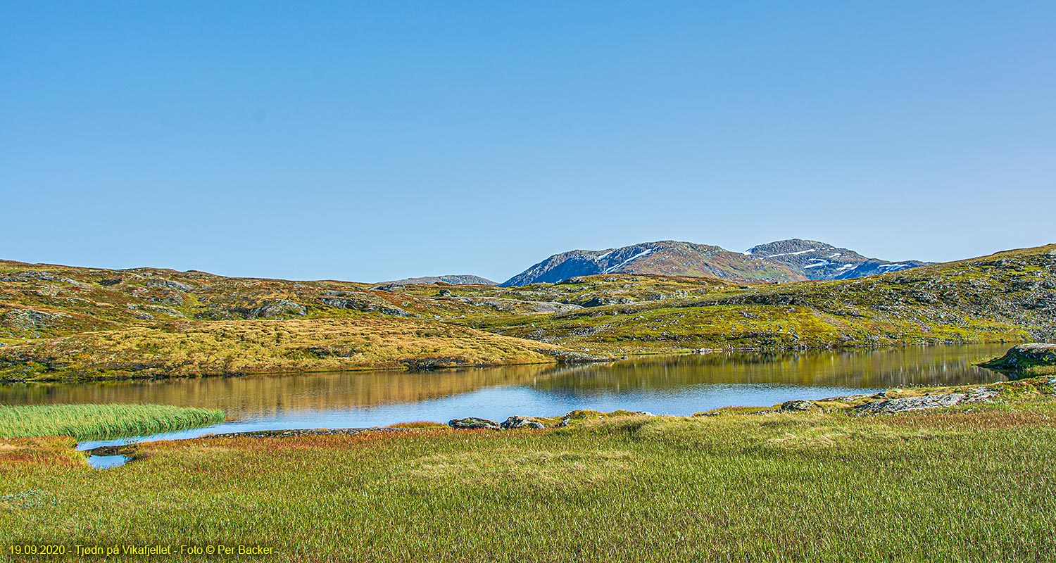 Tjødn på Vikafjellet