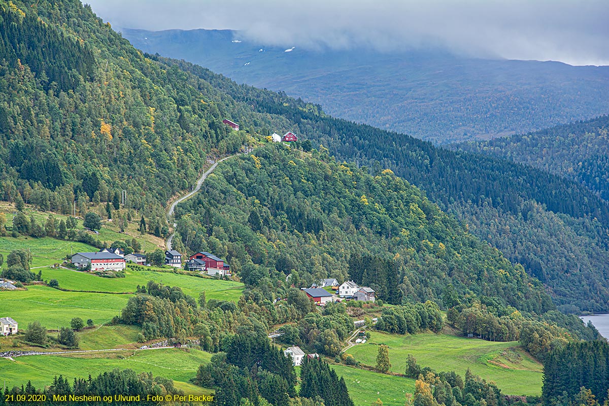 Mot Nesheim og Ulvund