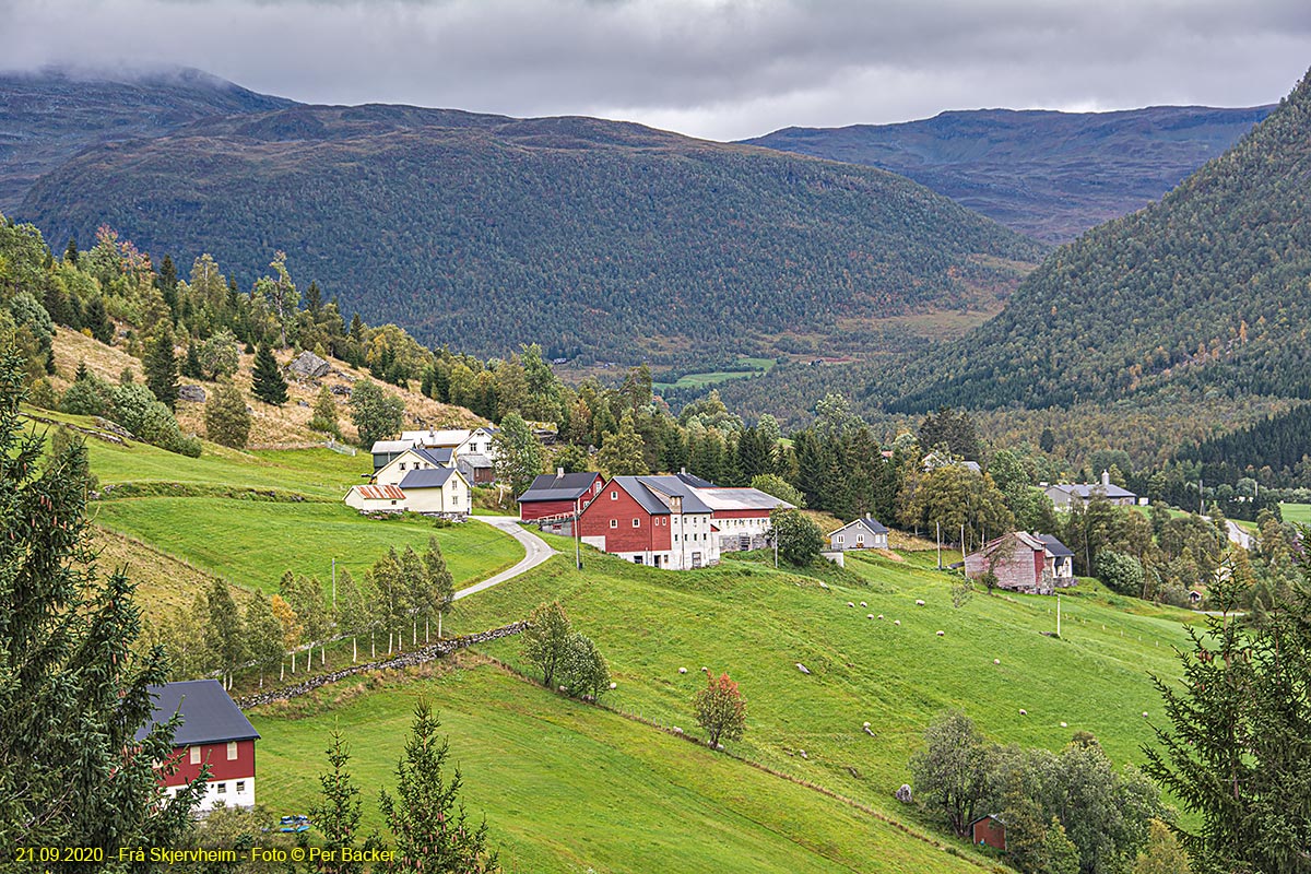 Frå Skjervheim