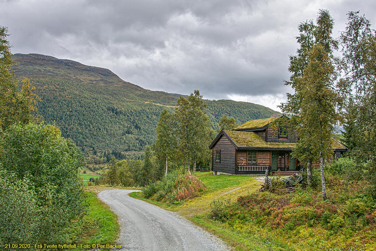 Frå Tveite hyttefelt