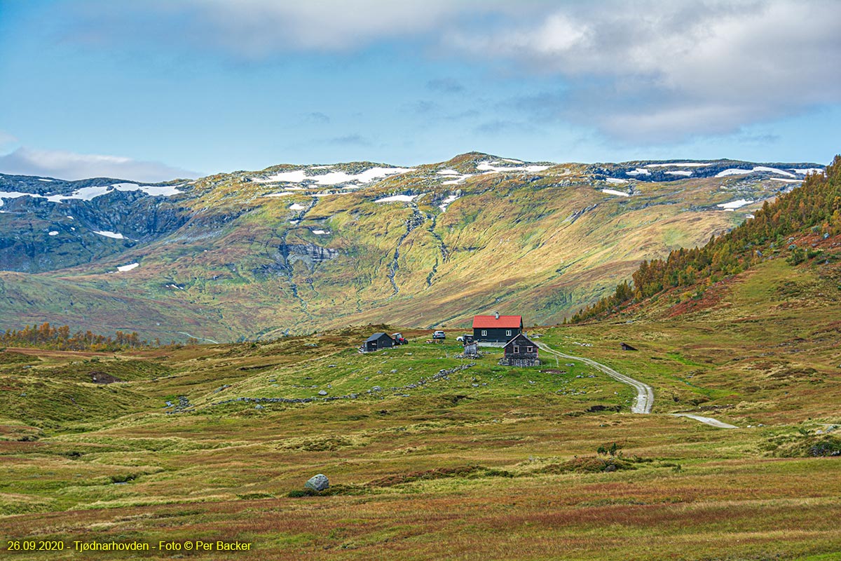 Tjødnarhovden