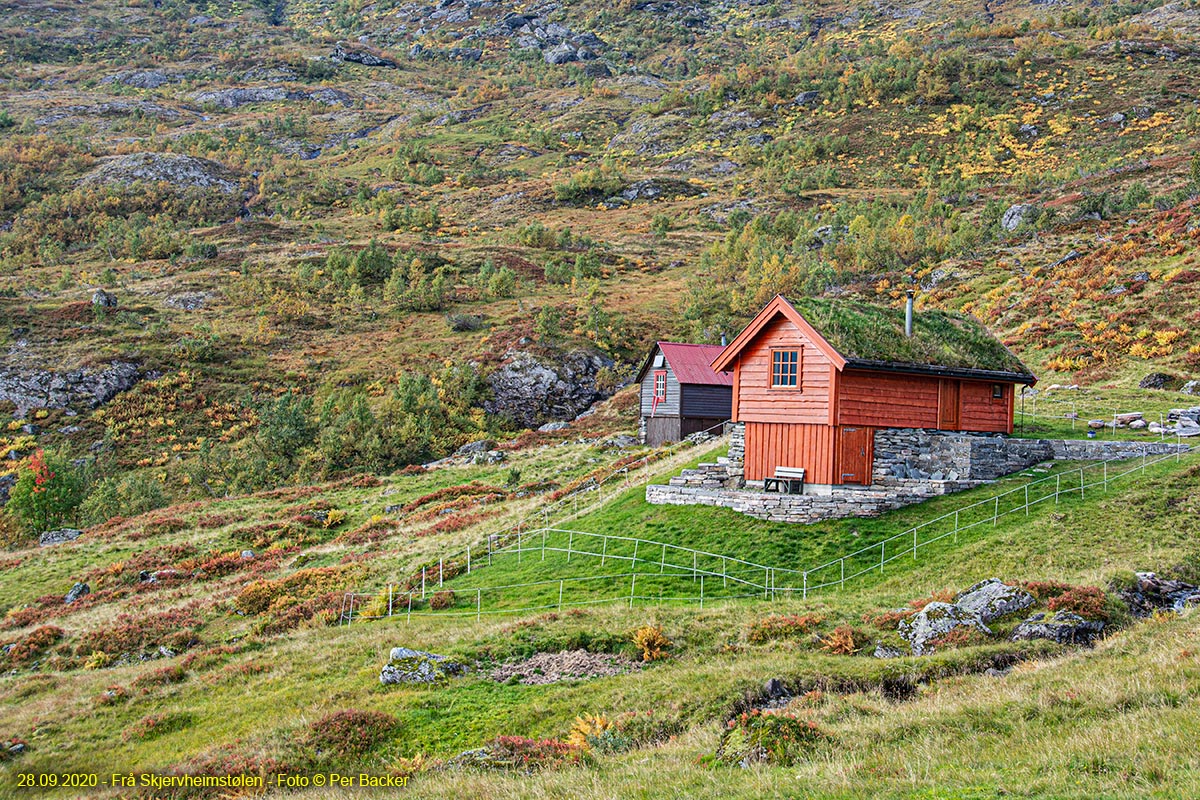 Frå Skjervheimstølen