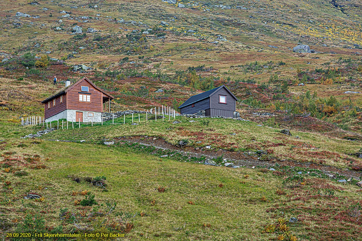 Frå Skjervheimstølen