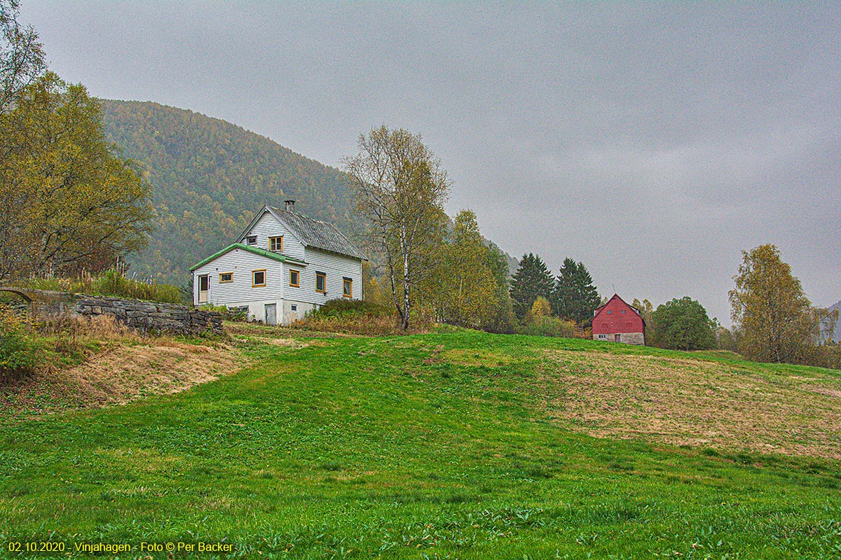 Vinjahagen