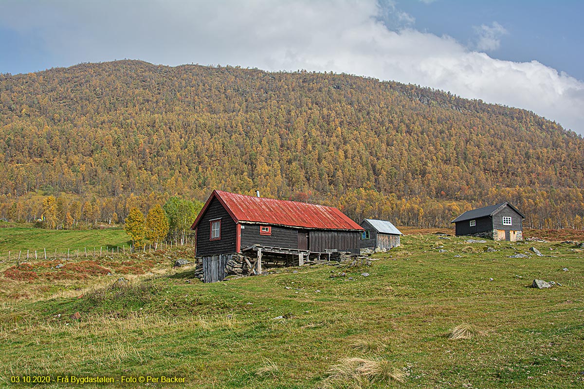 Frå Bygdastølen