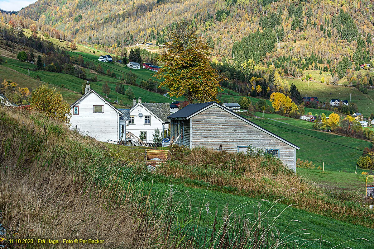 Frå Haga