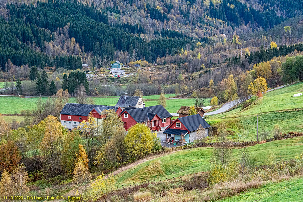 Frå Haga