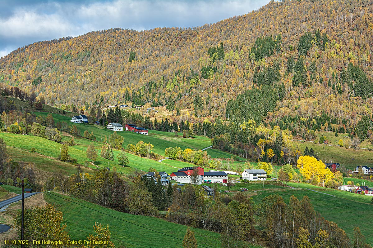 Frå Holbygda