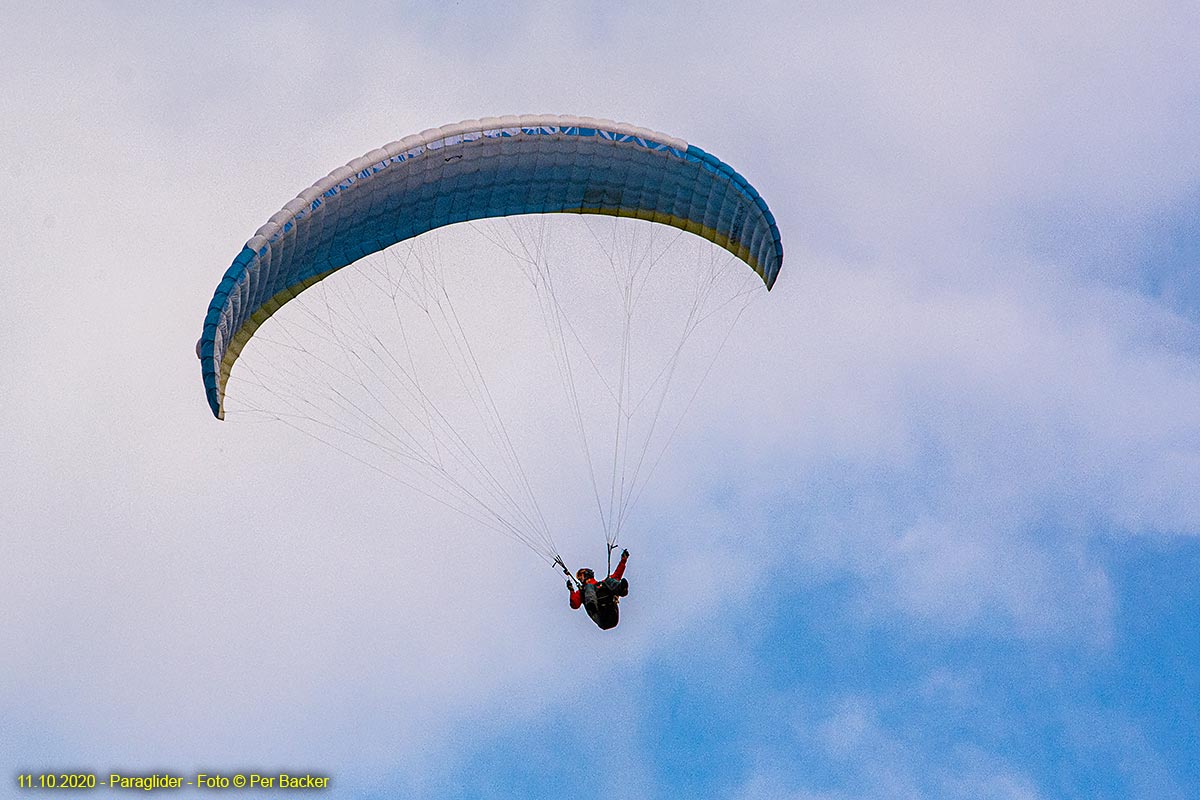 Paraglider