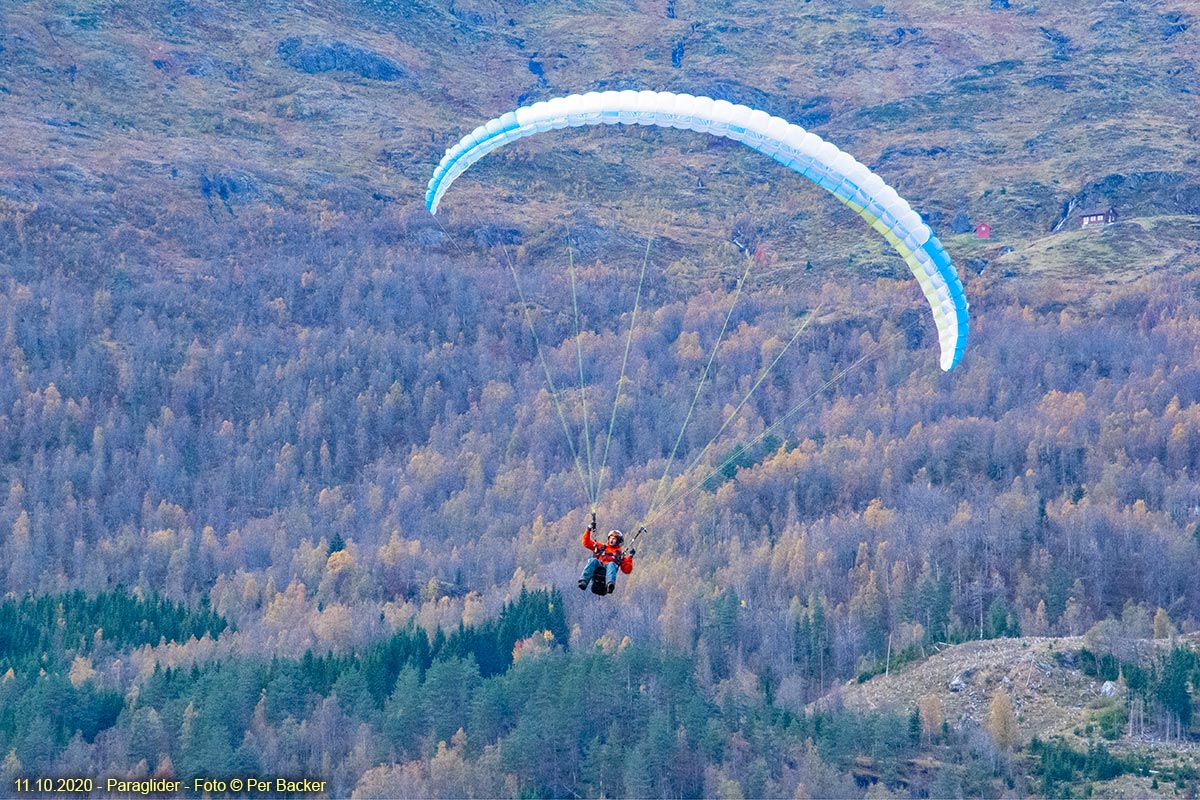 Paraglider