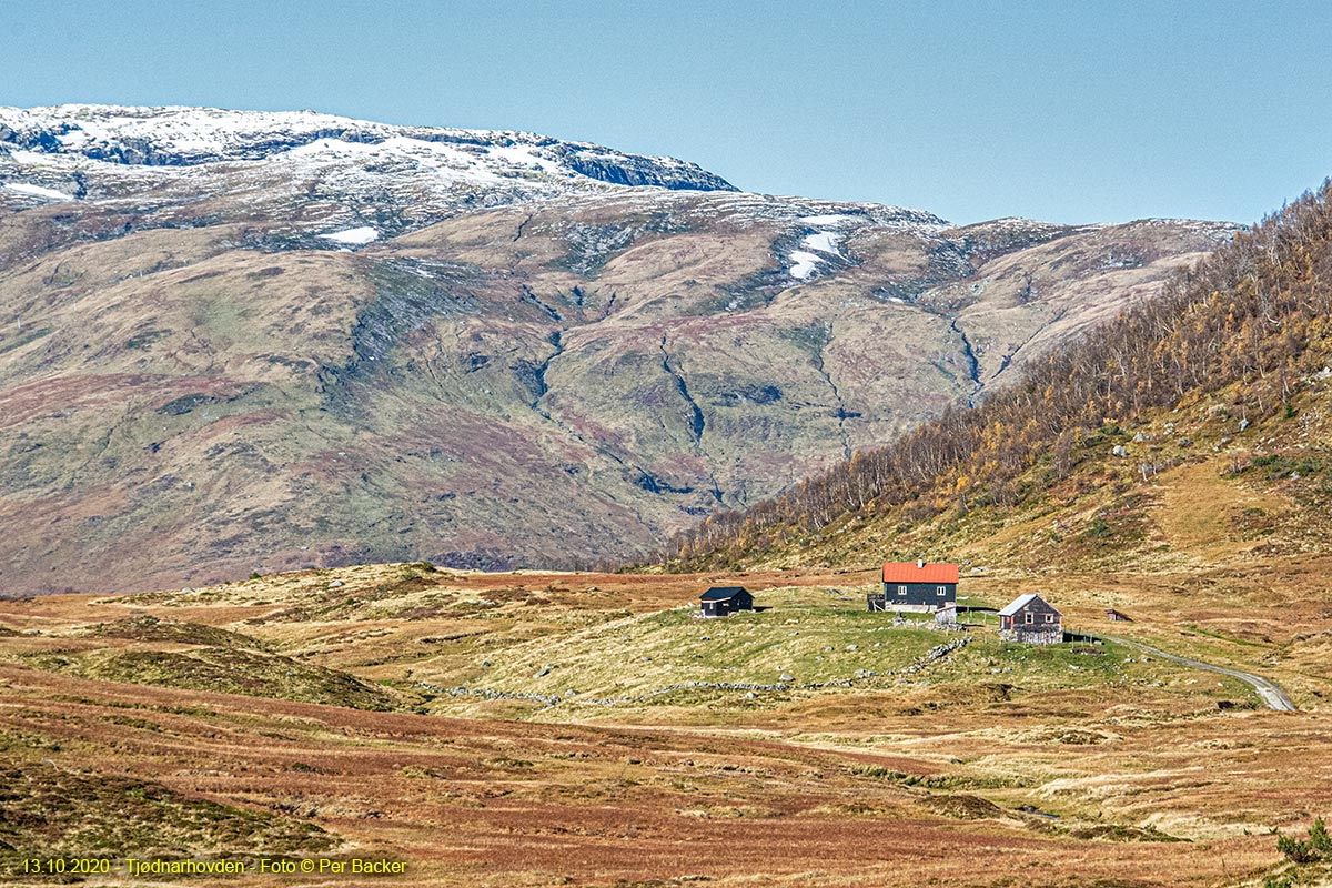 Tjødnarhovden